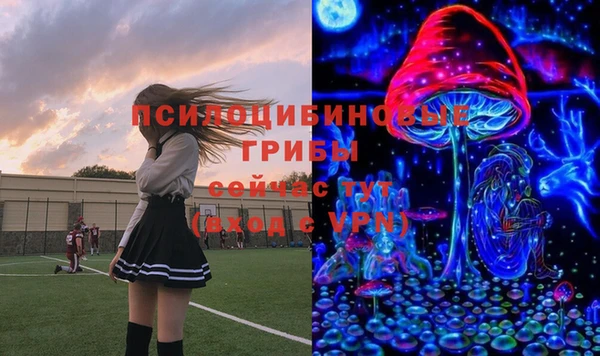 ALPHA-PVP Алексеевка